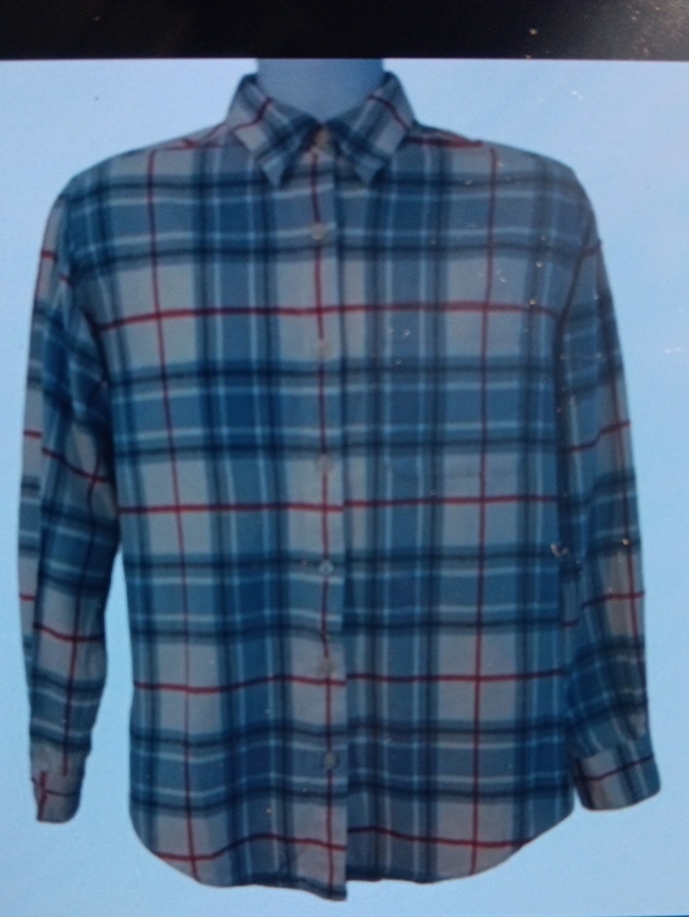 Eddie Bauer Blue and Red Plaid Button-Down Shirt